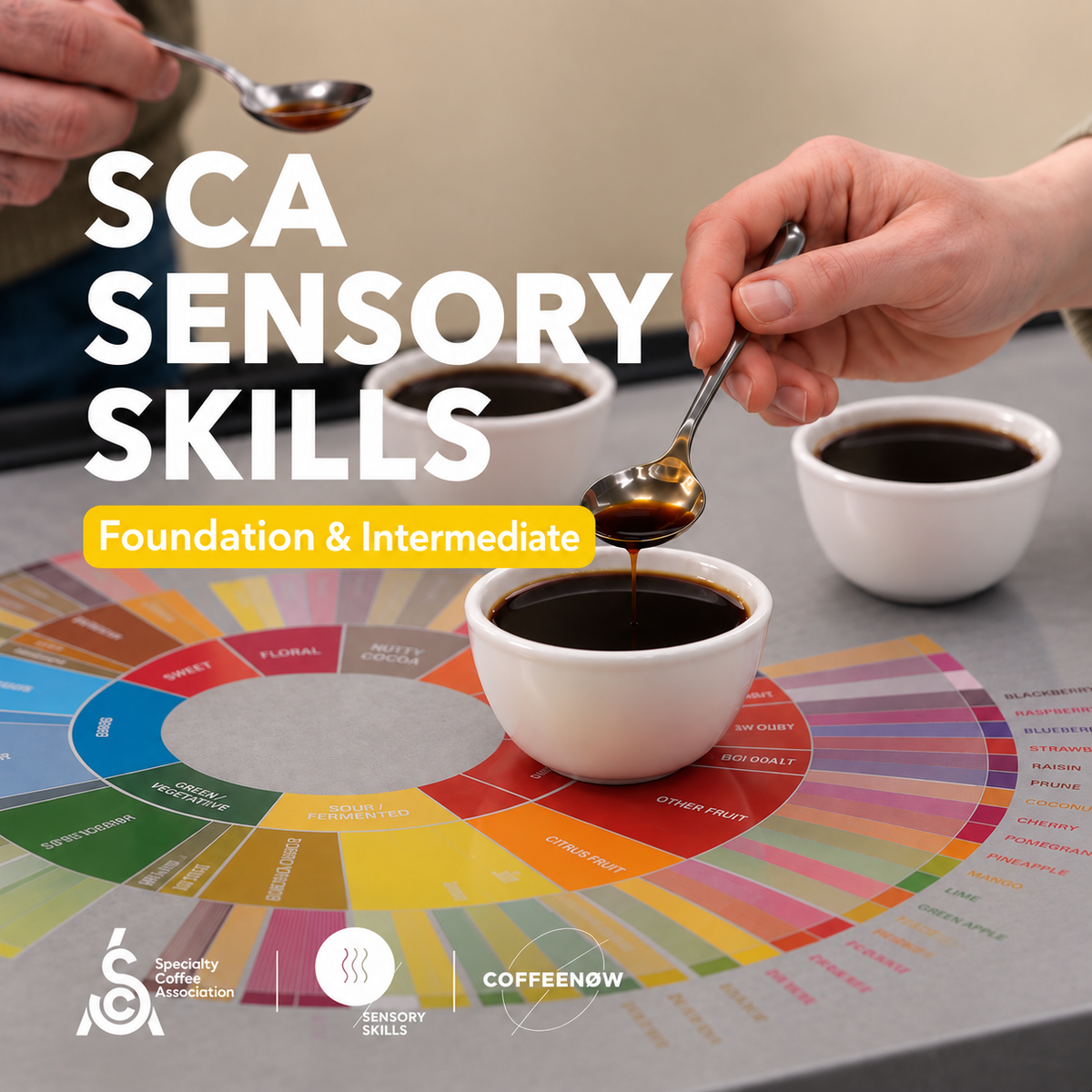SCA Sensory Skills Intensive: Foundation + Intermediate
