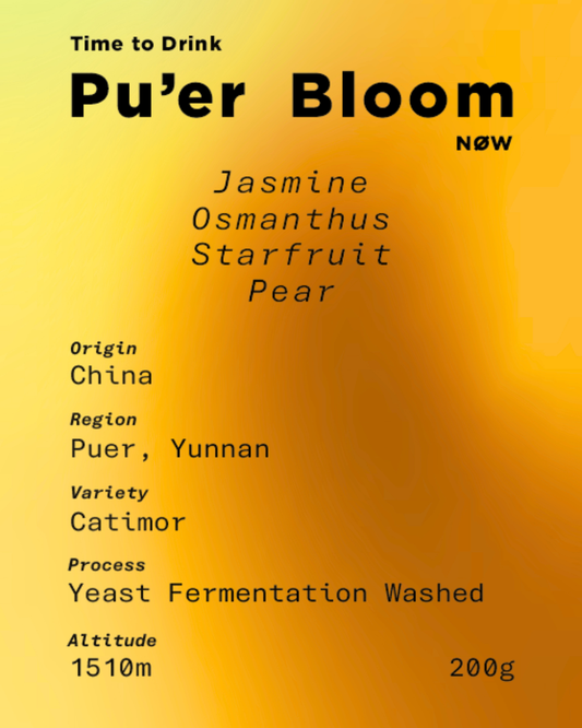 Coming Soon - Yunnan Las Flores Yeast Fermentation Washed