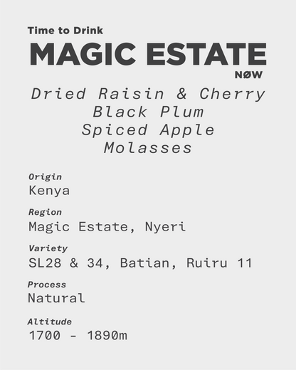 Kenya Nyeri Magic Estate Natural Process