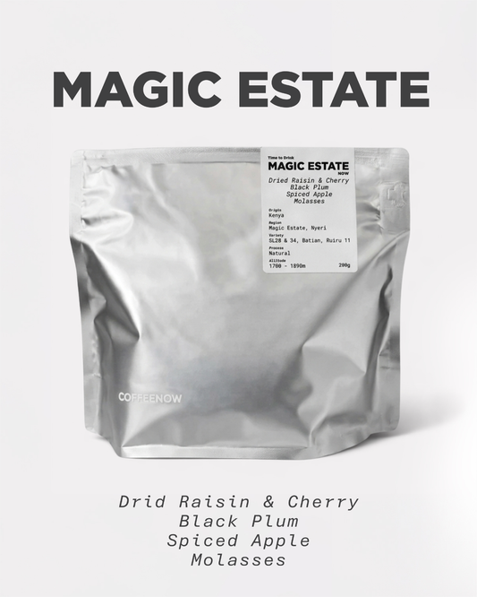 Kenya Nyeri Magic Estate Natural Process