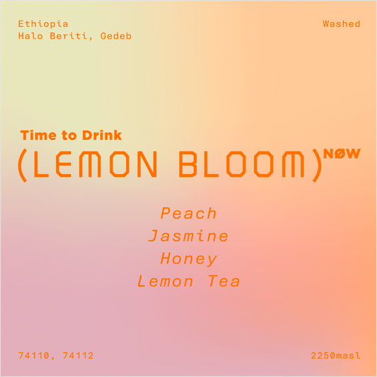 Ethiopia Halo Beriti G1 Washed