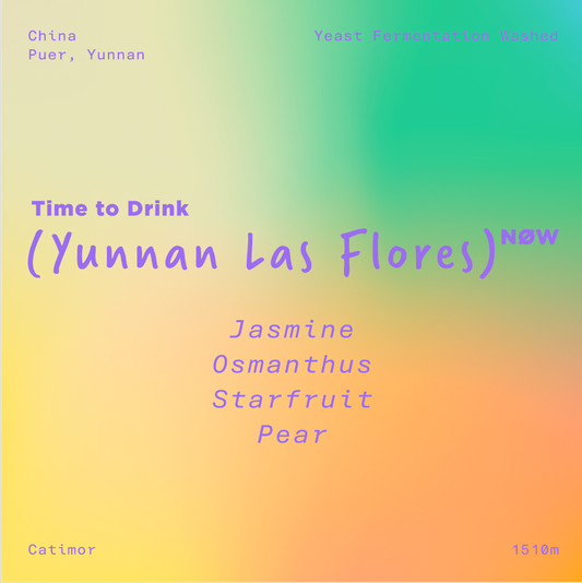 Coming Soon - Yunnan Las Flores Yeast Fermentation Washed
