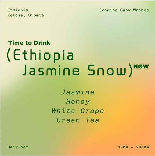 Ethiopia Oromia Kokosa Jasmine Snow Washed