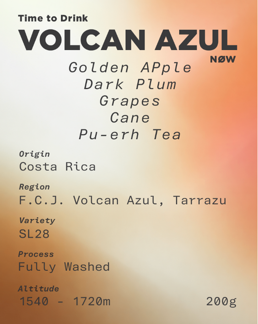 Costa Rica Volcan Azul Alejo Castro SL-28 Washed