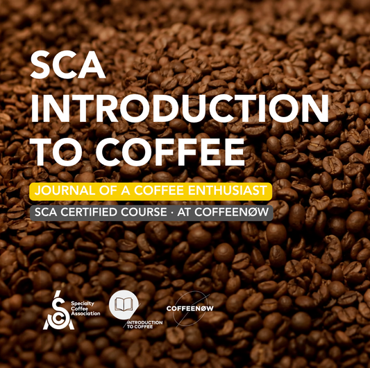 SCA Introduction to Coffee