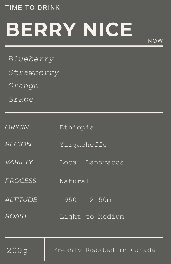 BERRY NICE - Ethiopia Yirgacheffe Natural