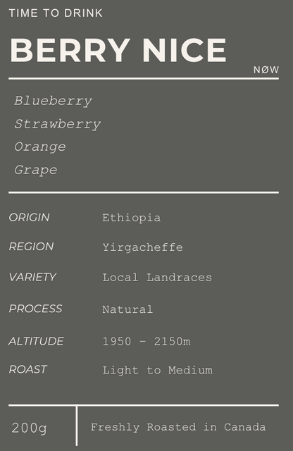 BERRY NICE - Ethiopia Yirgacheffe Natural