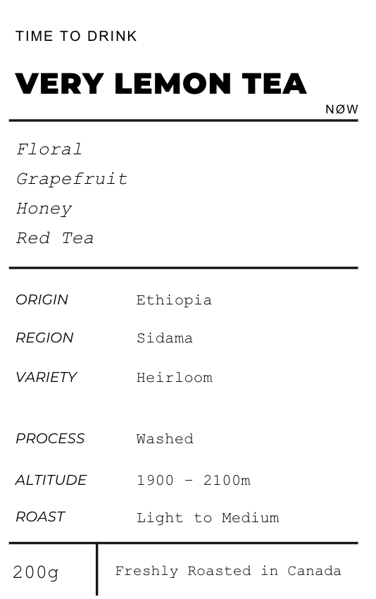VLT - Ethiopia Sidama G1 Washed
