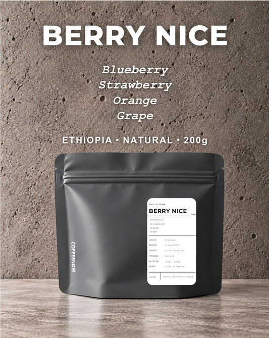 BERRY NICE - Ethiopia Yirgacheffe Natural
