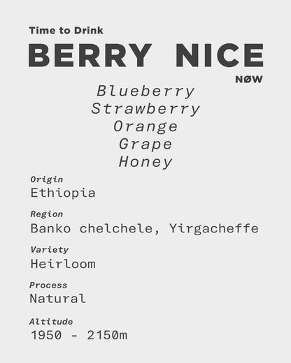 BERRY NICE - Ethiopia Yirgacheffe Banko Chelchele Natural