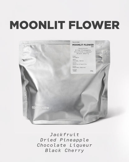 MOONLIT - Colombia Acevedo Caturra  & Castillo Anaerobic Natural