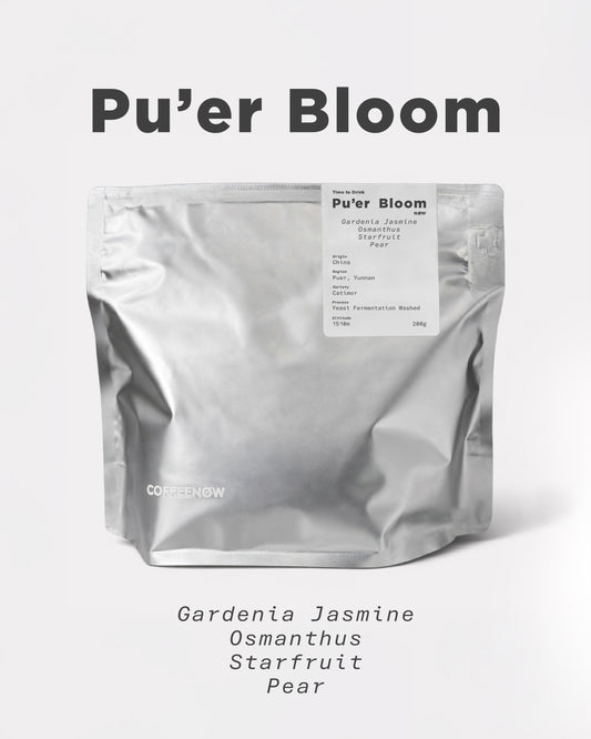 Pu'er Bloom - Yunnan Las Flores Yeast Fermentation Washed