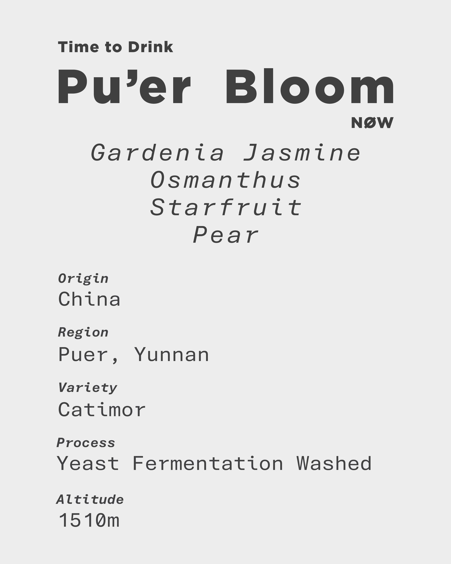 Pu'er Bloom - Yunnan Las Flores Yeast Fermentation Washed