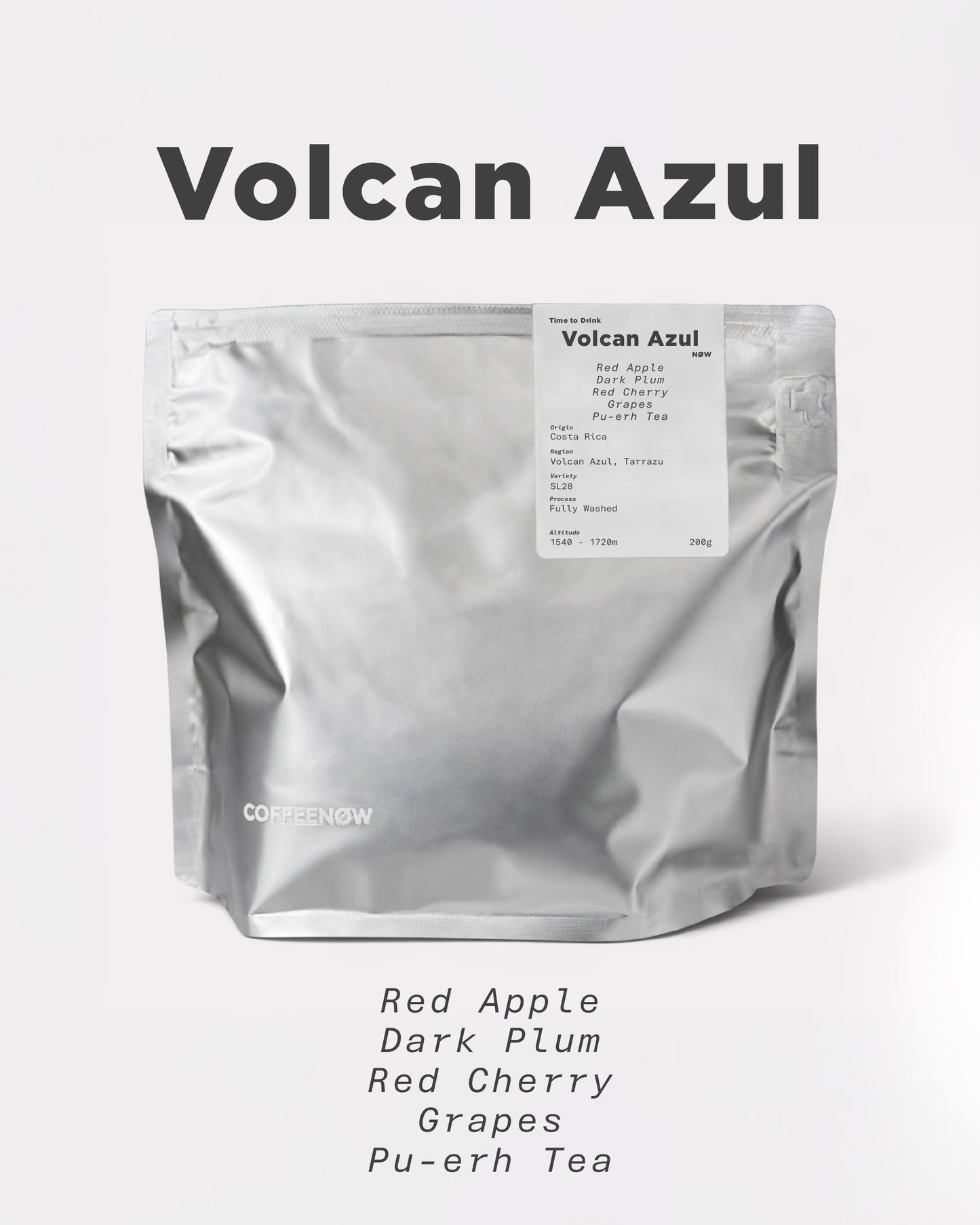 Costa Rica Volcan Azul Alejo Castro SL-28 Washed