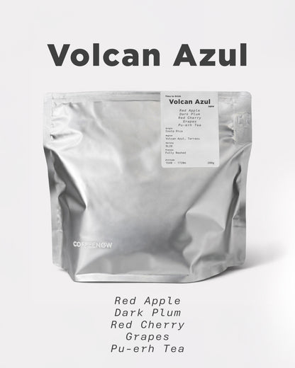 Costa Rica Volcan Azul Alejo Castro SL-28 Washed