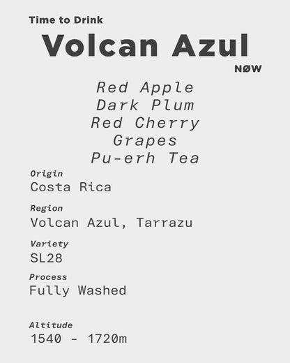 Costa Rica Volcan Azul Alejo Castro SL-28 Washed