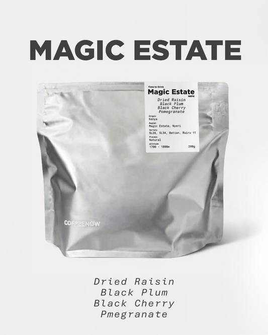 Kenya Nyeri Magic Estate Natural Process